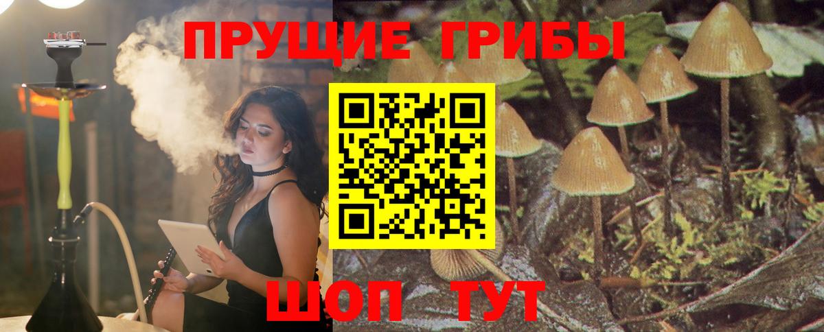 Новороссийск  Галлюциногенные грибы MAGIC MUSHROOMS  наркошоп  Вход с VPN 